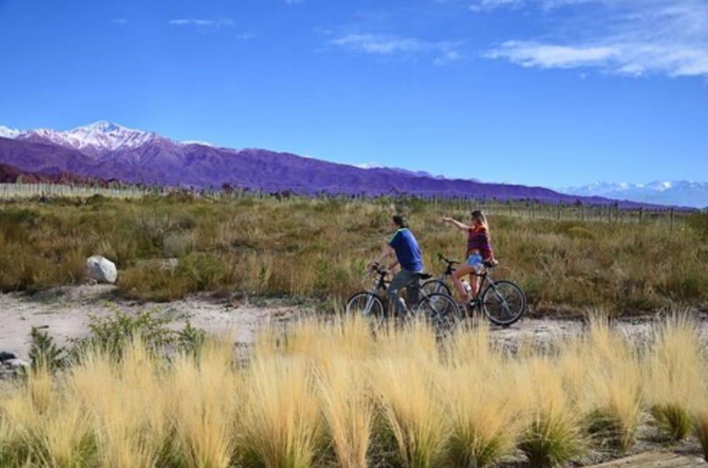 Alpasion Lodge Tunuyán Kültér fotó