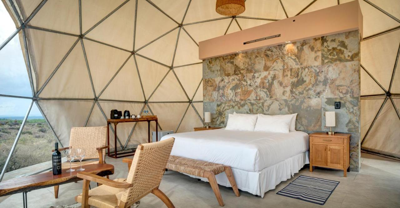 Alpasion Lodge Tunuyán Kültér fotó