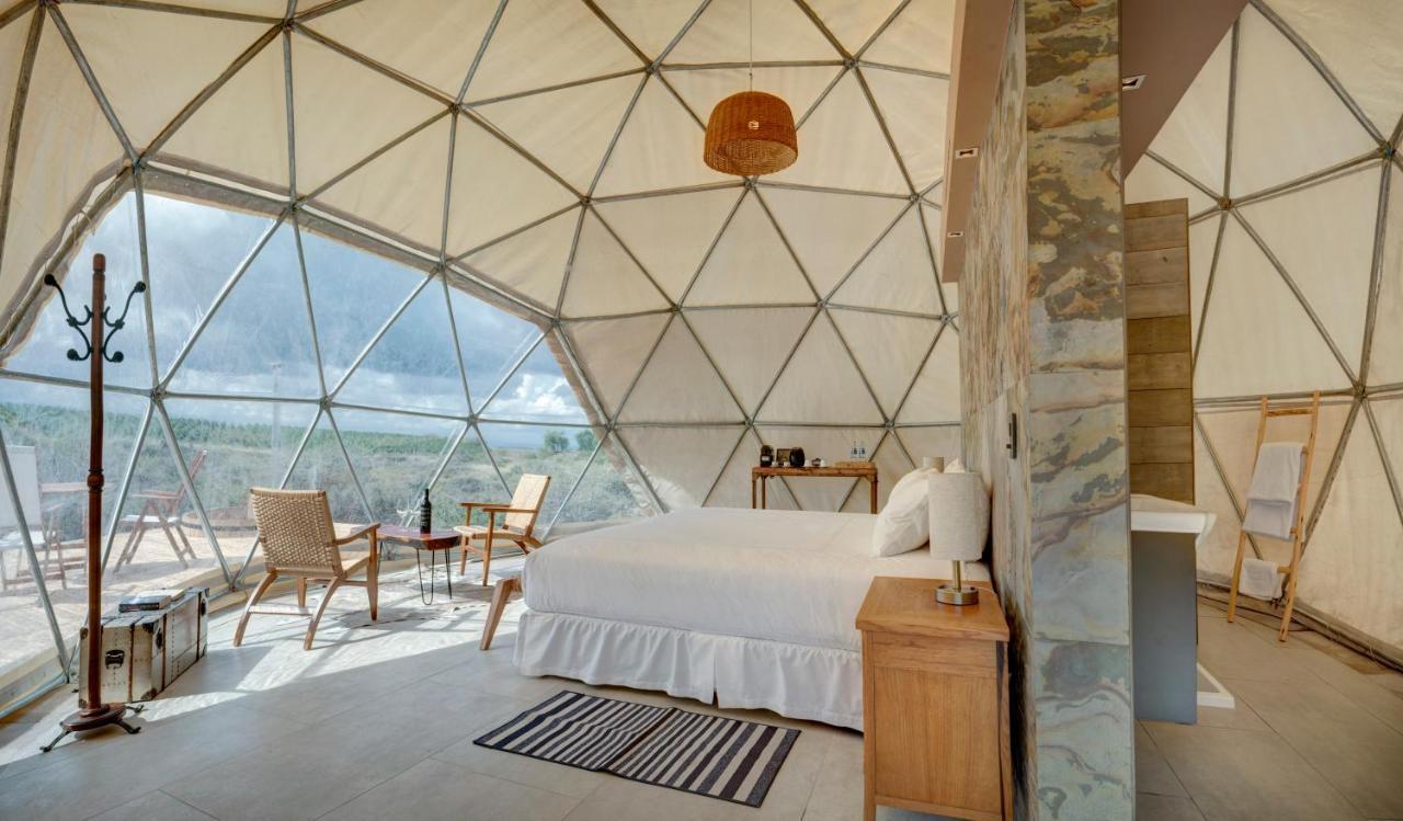 Alpasion Lodge Tunuyán Kültér fotó